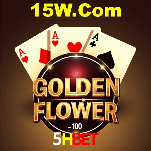 Interface Premium 5Hbet